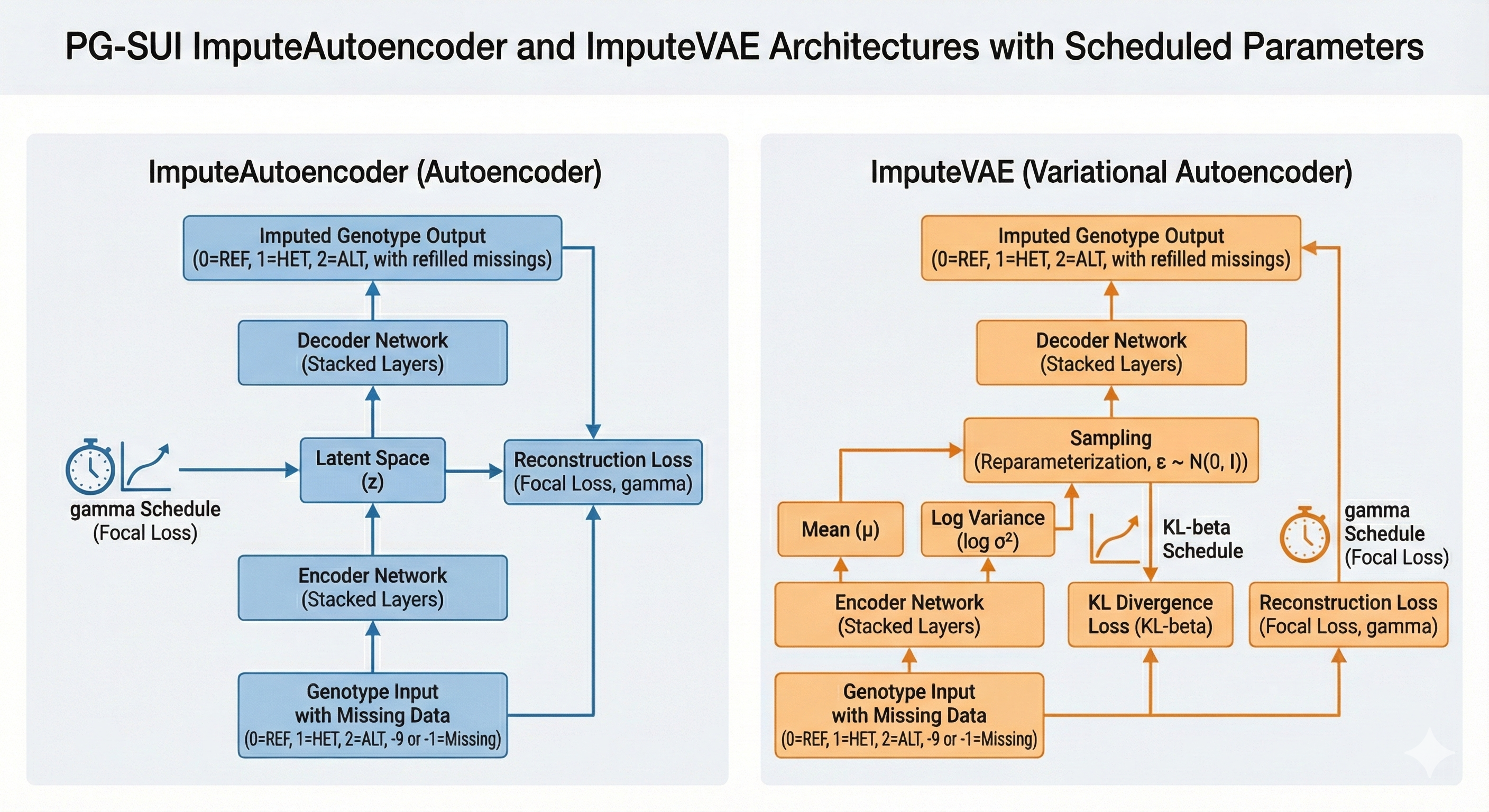 Side-by-side comparison of two neural network architectures for genomic imputation. Left diagram with blue boxes shows ImputeAutoencoder workflow: input genotypes with missing data encoded as 0=REF, 1=HET, 2=ALT, -9 or -1=Missing flows through gamma Schedule, Encoder Network, Latent Space, Decoder Network, Reconstruction Loss, to produce Imputed Genotype Output. Right diagram with orange boxes shows ImputeVAE architecture: genotype input flows through Encoder Network to Mean and Log Variance outputs, then Sampling with Reparameterization, KL-beta Schedule, KL Divergence Loss, Decoder Network, Reconstruction Loss, producing Imputed Genotype Output. Both models output refilled missing values. The comparison illustrates how the autoencoder differs from VAE through additional scheduled parameters and loss components in the variational model.